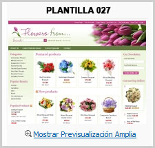 plantilla4
